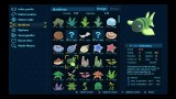 Image Birthdays the Beginning