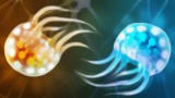 Image Semispheres