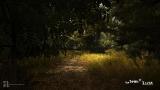 Image The Town of Light