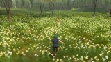 Image Fire Emblem Echoes : Shadows of Valentia