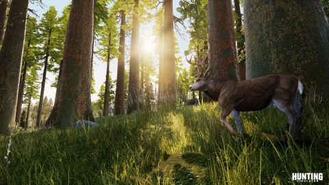 Hunting Simulator présente son bestiaire