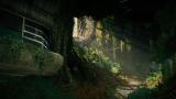 Image Destiny 2
