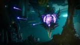 Image Destiny 2