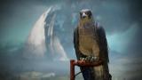 Image Destiny 2