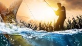 Image Euro Fishing