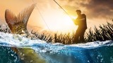 Image Euro Fishing