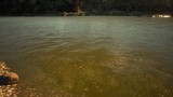 Image Euro Fishing