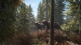Image theHunter : Call of the Wild