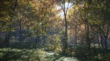 Image theHunter : Call of the Wild