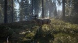 Image theHunter : Call of the Wild
