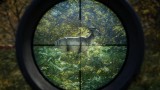 Image theHunter : Call of the Wild