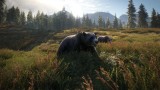 Image theHunter : Call of the Wild