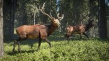 Image theHunter : Call of the Wild