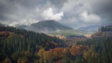 Image theHunter : Call of the Wild