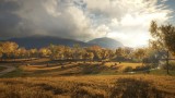 Image theHunter : Call of the Wild