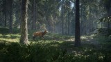 Image theHunter : Call of the Wild