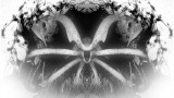 Image Narcosis