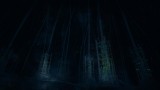 Image Narcosis