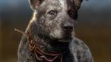 Image Far Cry 5