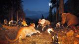 Image Far Cry 5