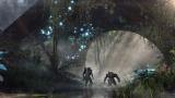Image Anthem