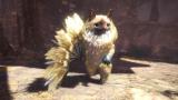 Image Monster Hunter : World