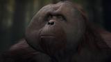 Image La Planète des Singes : Last Frontier