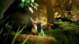 Image Moss