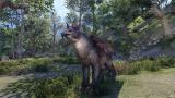 Image The Elder Scrolls Online : Summerset
