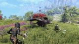 Image The Elder Scrolls Online : Summerset