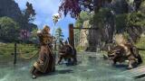 Image The Elder Scrolls Online : Summerset