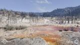 Image Fallout 76