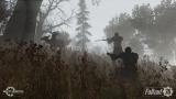 Image Fallout 76