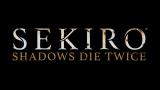 Image Sekiro : Shadows Die Twice