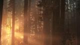 Image Life is Strange 2