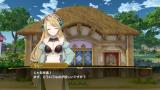 Image Nelke & the Legendary Alchemists: Ateliers of the New World