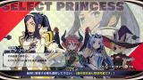 Image The Princess Guide