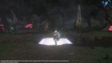 Image Dragon Star Varnir