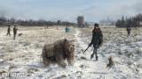 Image Iron Harvest