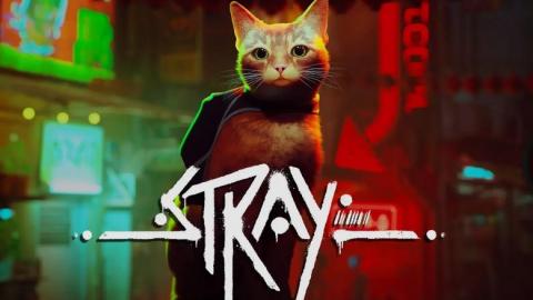 Stray : le chat date son arrivée (et sur PlayStation Plus)