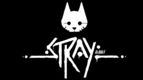 STRAY ajoute une version PS4 et glisse à 2022