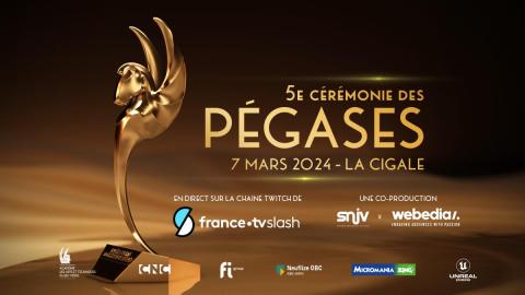 Les Pégases 2024 balancent leurs météores