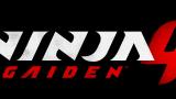 Image Ninja Gaiden 4