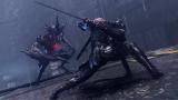 Image Ninja Gaiden 4