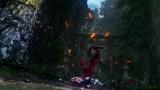 Image Ninja Gaiden 4