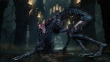 Image Bloodborne