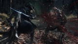 Image Bloodborne