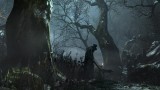 Image Bloodborne