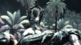 Image Call of Duty : World at War