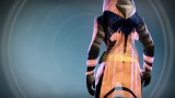 Image Destiny